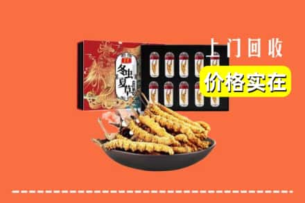 阿里地区改则回收冬虫夏草